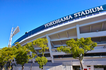 7maru(Photo by iStock)