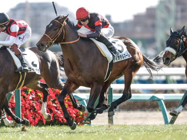 中山6Rの新馬戦を制したディオデルマーレ(撮影：下野雄規)