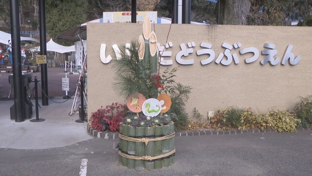 池田動物園に門松