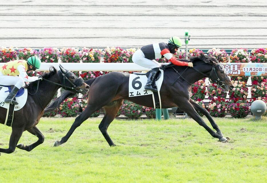 エムズ（中央）は早めに先頭に立って押し切った＝中京競馬場（撮影・中島信生）