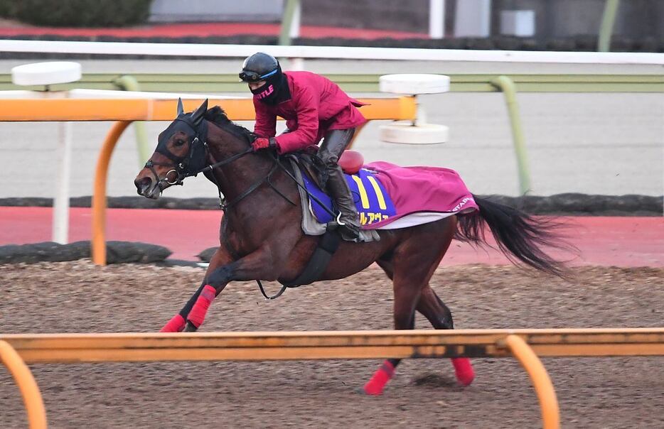 単走で馬なりに終始し、余力十分に6ハロン86秒4をマークしたデルアヴァー＝栗東トレセン（撮影・岩川晋也）