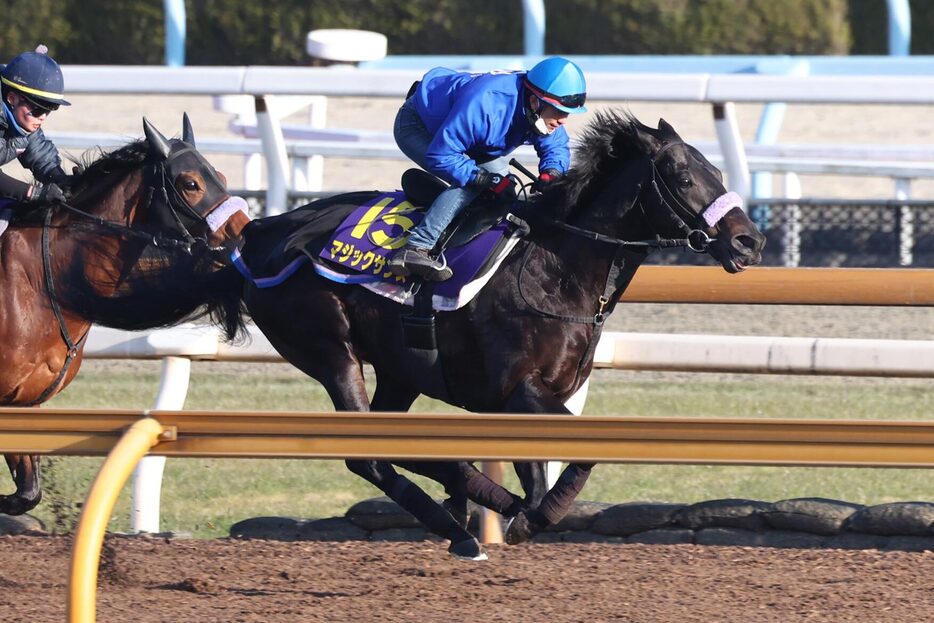 ３連勝で頂点を狙うマジックサンズ