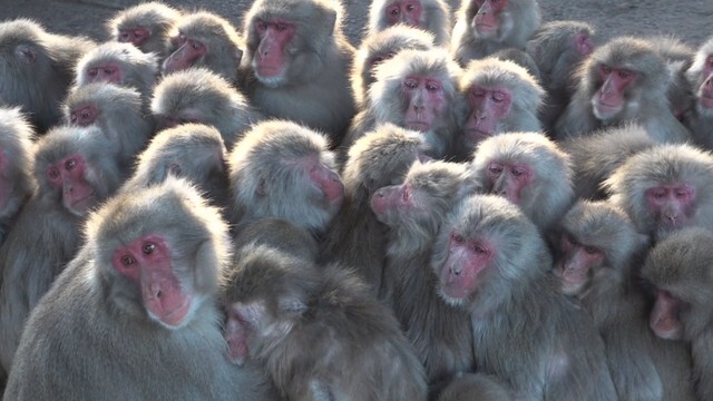 銚子渓　香川・土庄町　7日