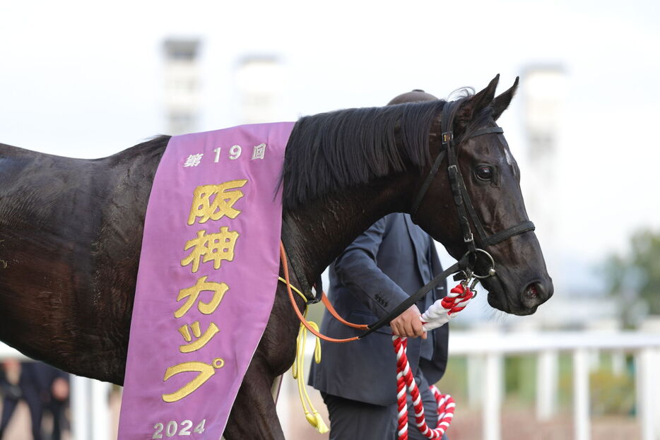 阪神Cを勝利したナムラクレア