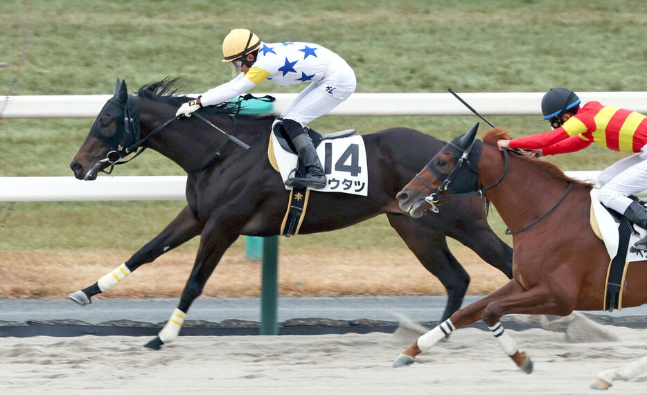 幸英明騎手騎乗のトウタツ（左）がベラジオルークンの追い込みをしのいで新馬勝ち（カメラ・高橋　由二）