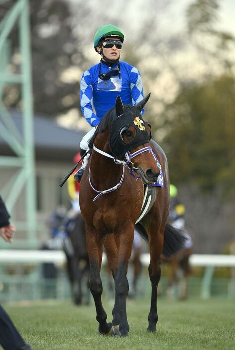 ホープフルSで3着に敗れたファウストラーゼン＝28日、中山競馬場（撮影・奈良武）