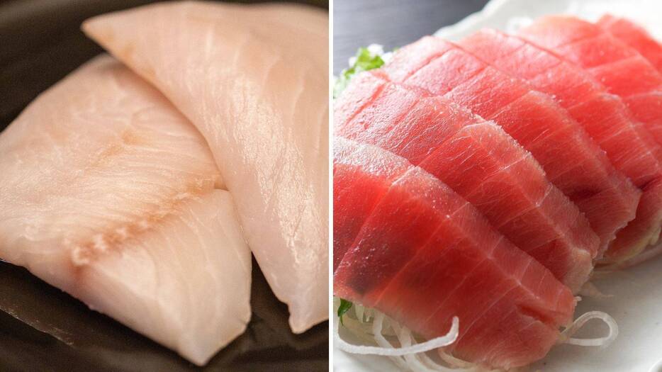 「白身魚」と「赤身魚」栄養価が高いのはどっち？管理栄養士が解説