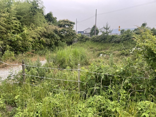 遺体が発見された滋賀・守山市野洲川の河川敷