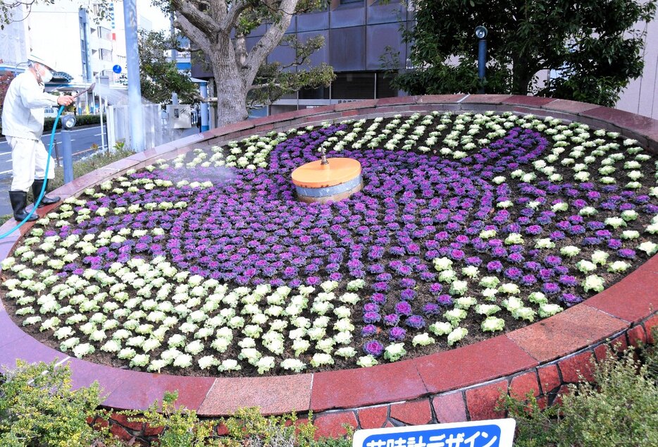 カニの模様に植え替えられた花時計＝２０日、ＪＲ鳥取駅前