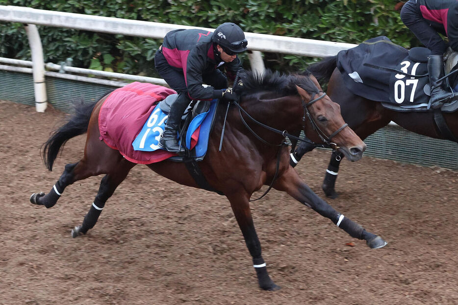 馬トク激走馬に算出されたエスコーラ