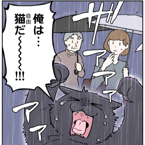 雨の中、猫になった喜びを大声で叫ぶ主人公