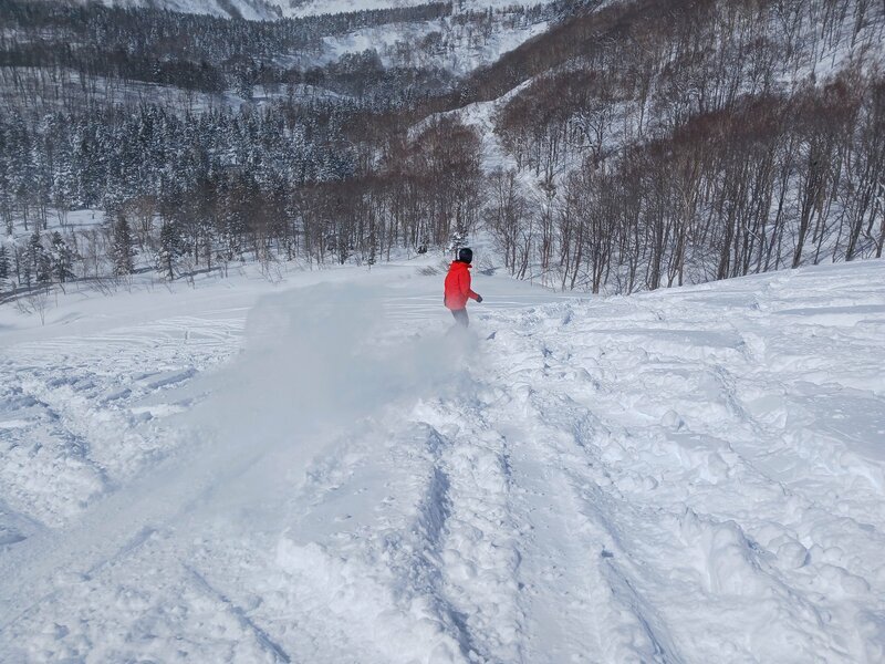 「栂の森ゲレンデ」は基本的に圧雪バーンだがコース脇に結構パウダーが残っている