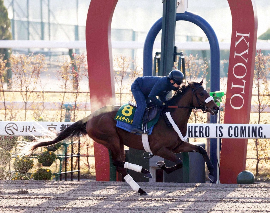 京都競馬場のダートコースを追い切ったメイデイレディ