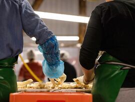 Workers clean and sort asparagus in Kremmen, Germany. Photographer: Krisztian Bocsi/Bloomberg