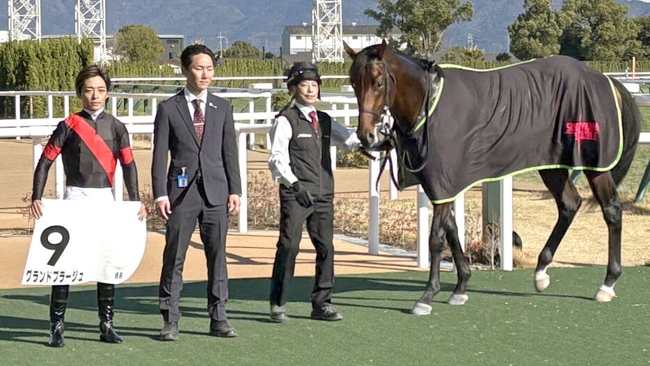 京都６Ｒを勝ったグランドプラージュと川田将雅騎手（左、カメラ・水納　愛美）