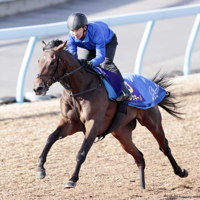 Wコースで追い切ったアルレッキーノ（カメラ・荒牧　徹）