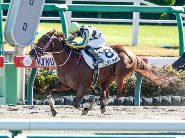 中山4Rの新馬戦を制したトニケンサンバ(撮影：下野雄規)