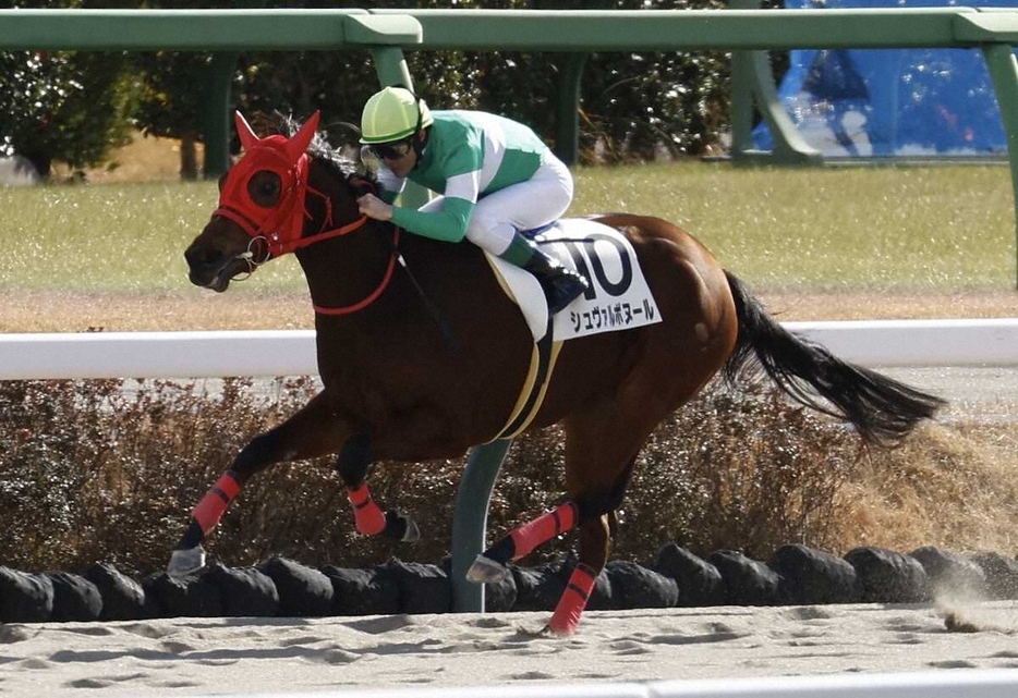 ＜中山5R・メイクデビュー中山＞新馬戦を制したシュヴァルボヌール（撮影・五島　佑一郎）