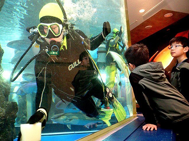 スポンジを使って丁寧に水槽を磨く生徒＝魚津水族館