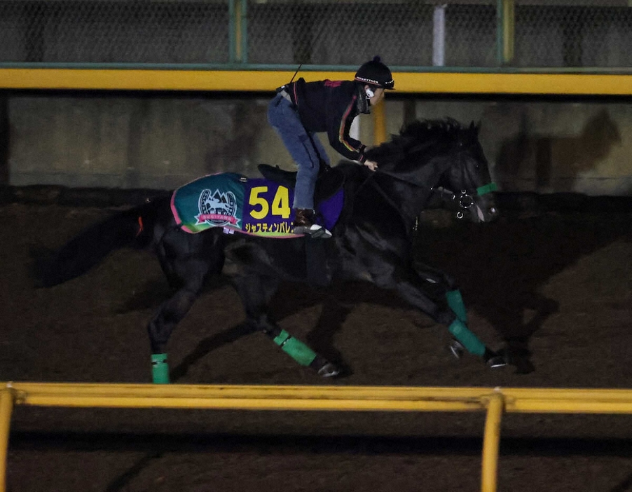 ＜有馬記念・日曜追い＞CWコースで調整するジャスティンパレス（撮影・中辻　颯太）