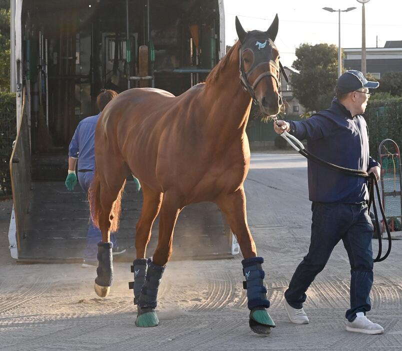 　中山競馬場に到着したダノンデサイル（撮影・園田高夫）