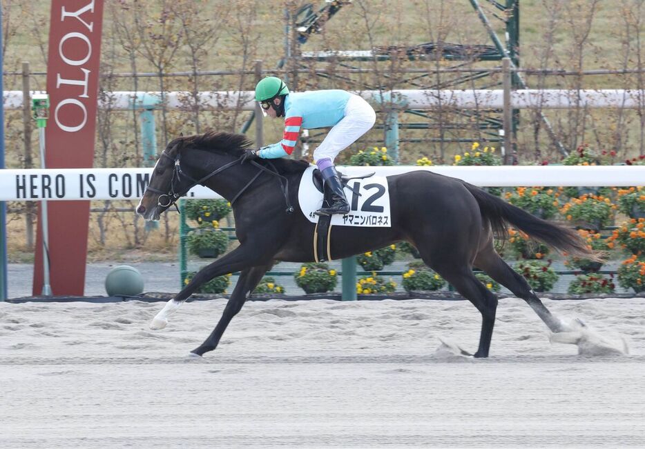 ヤマニンバロネスが圧勝（カメラ・豊田　秀一）