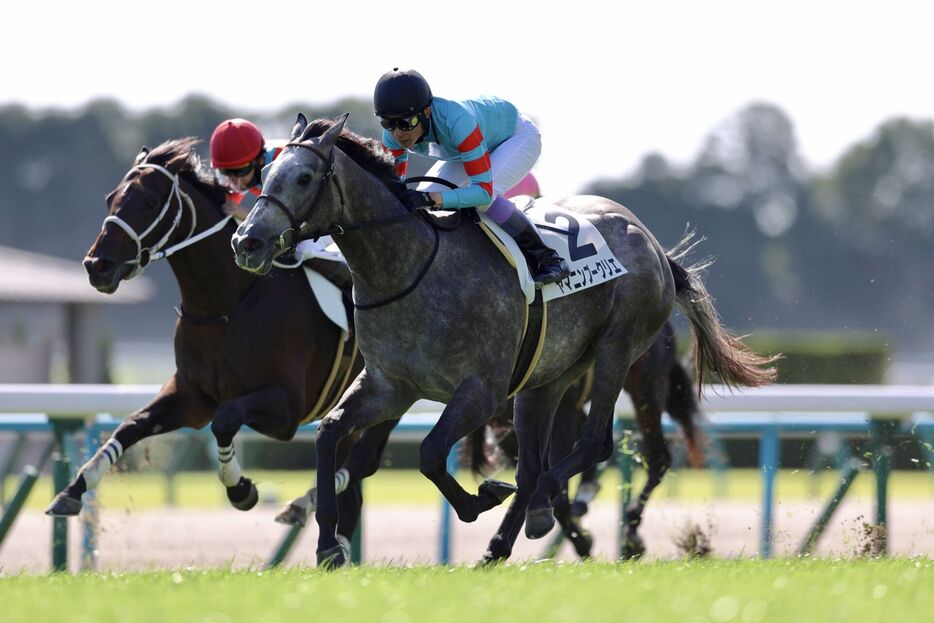 京都5R・ヤマニンブークリエと武豊騎手