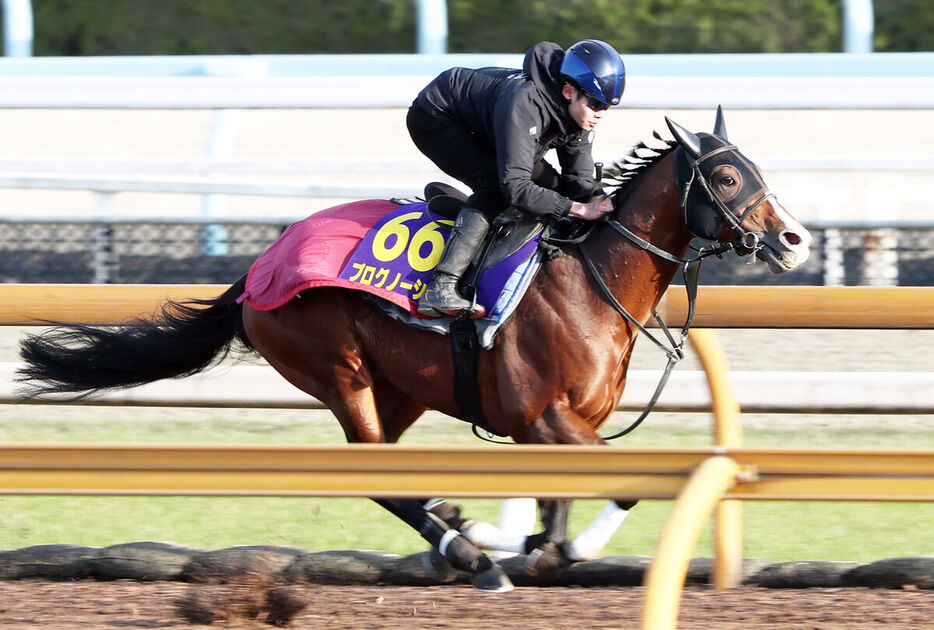 三浦皇成騎手が騎乗し、CWコース単走で動きを確かめたれたプログノーシス（カメラ・高橋　由二）