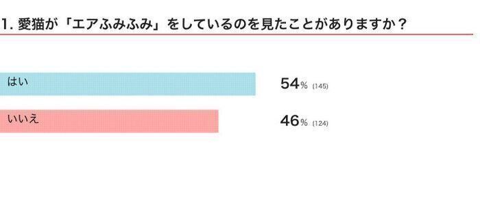 ※2024年10月実施「ねこのきもちアプリ」内アンケート調査（回答者数 269人）