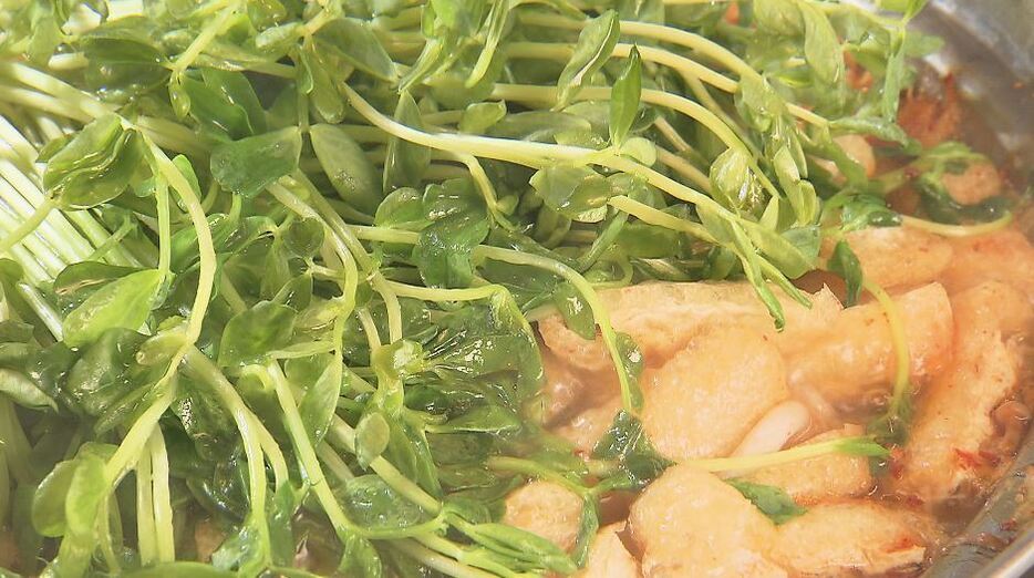 家計お助け野菜を使った「キムチ鍋」