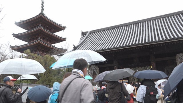 一日一斉おもてなし遍路道ウォークの様子（2024年2月）