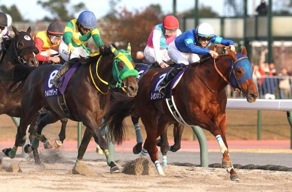 レモンポップ(右白帽)が2着馬の強襲を際どく退け有終の美を飾った