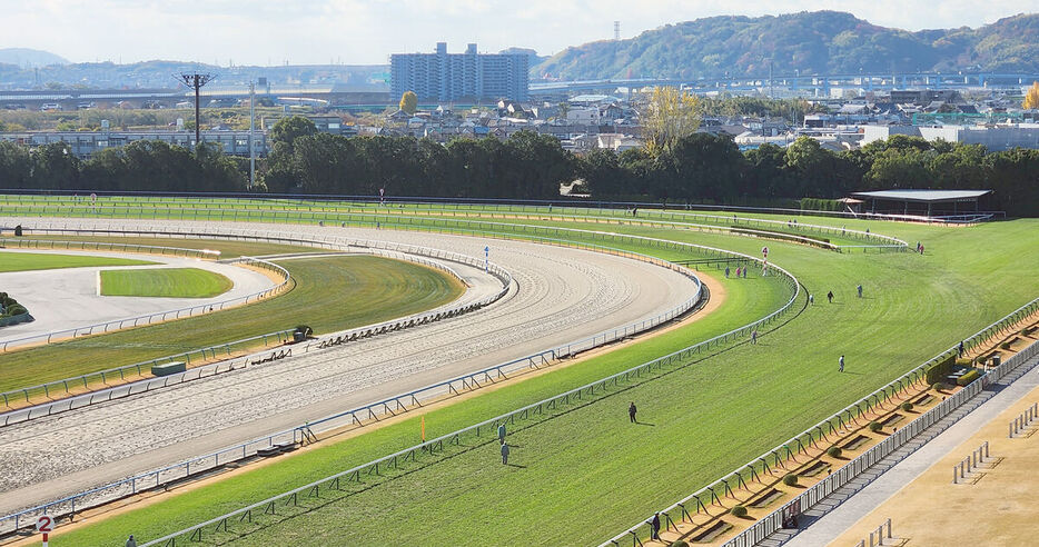 京都競馬場の芝は今週からＤコース使用となっている