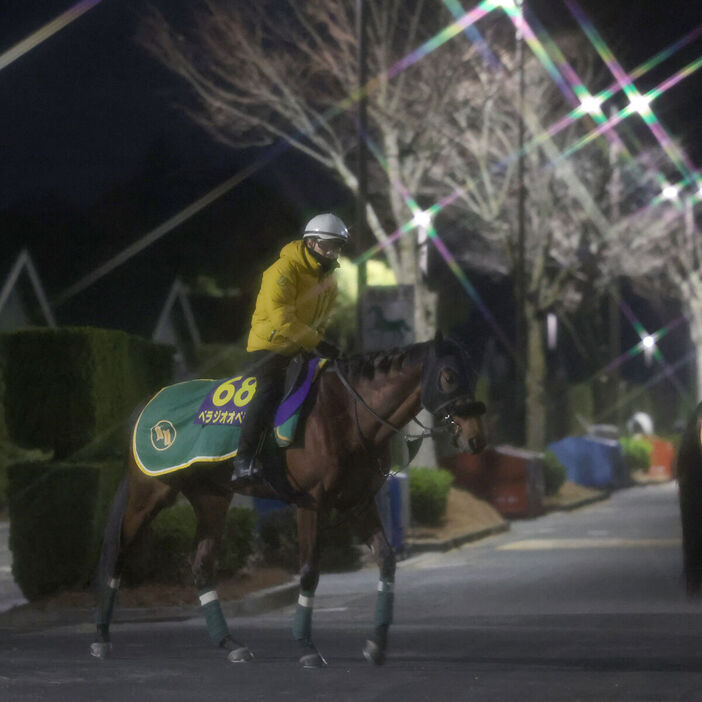 馬トク激走馬に算出されたベラジオオペラ