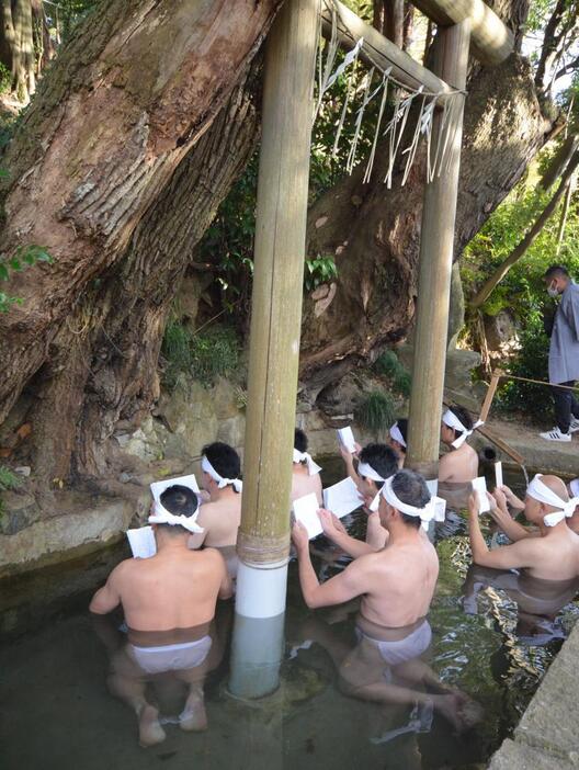 みそぎ場の冷たい水で心身を清める氏子青年会員ら=石岡市総社