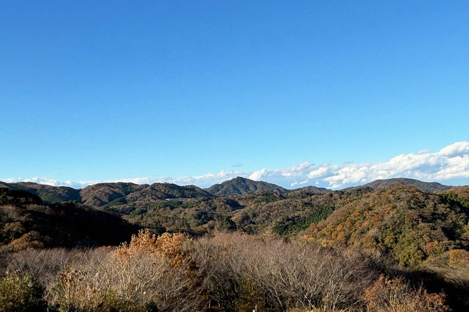 茨城県日立市の標高598mの神峰山