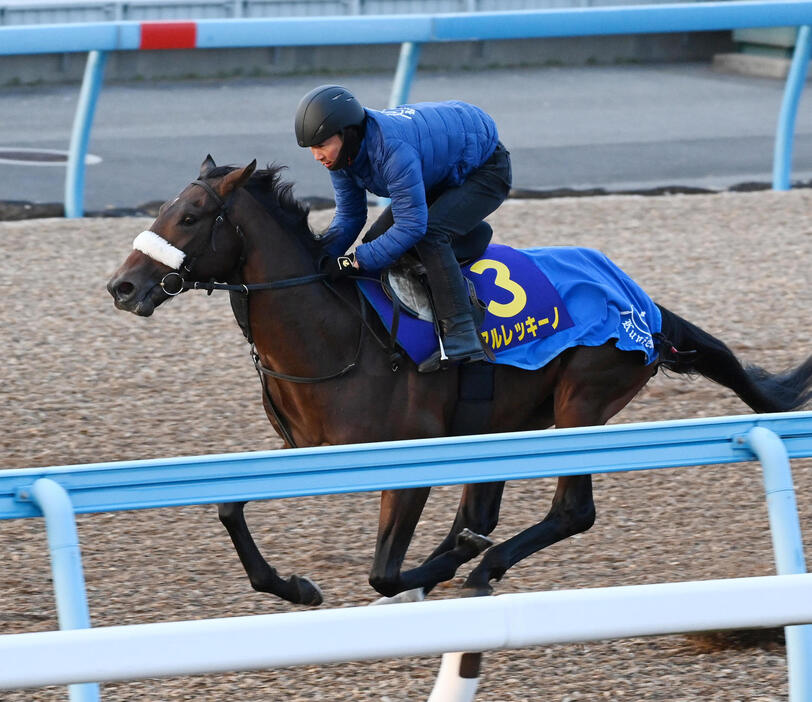 5日、美浦ウッドチップで追い切るアルレッキーノ