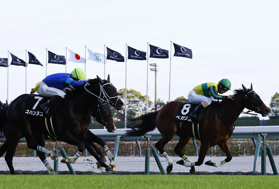 飛騨ステークスを制したベガリス（右）