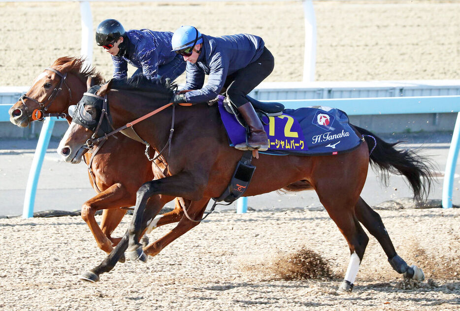 Wコースで１週前追い切りを行ったローシャムパーク（手前、馬上はトム・マーカンド騎手）、奥はサンダーアラート（カメラ・荒牧　徹）