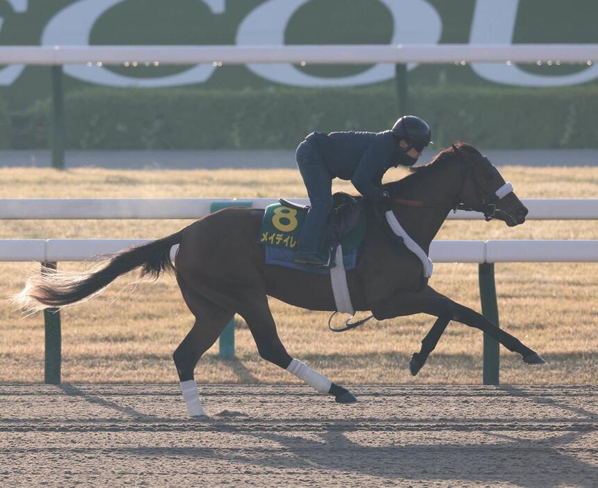 京都競馬場ダートコースで追い切ったメイデイレディ