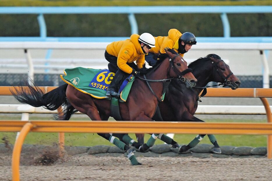 栗東ＣＷで追い切るベラジオオペラ＝栗東トレセン