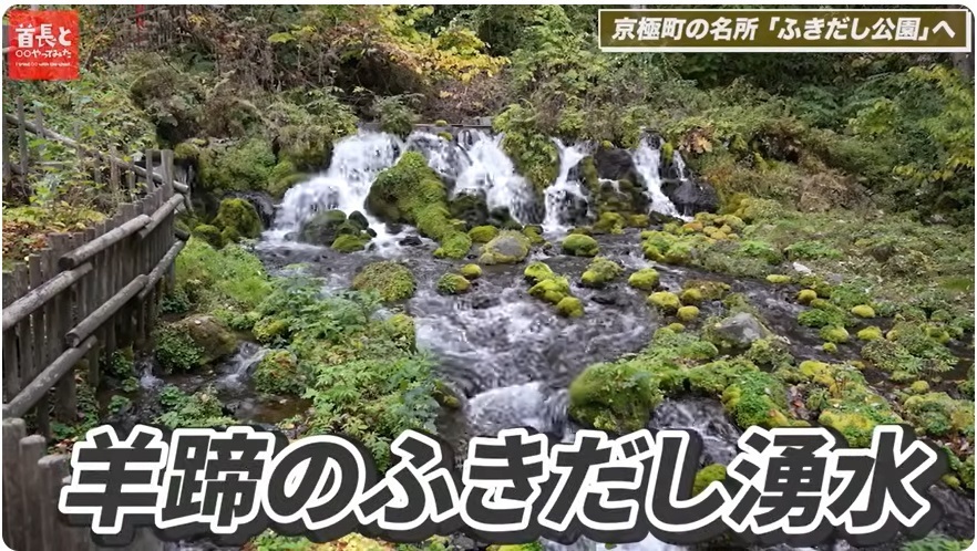 名水百選・羊蹄のふきだし湧水