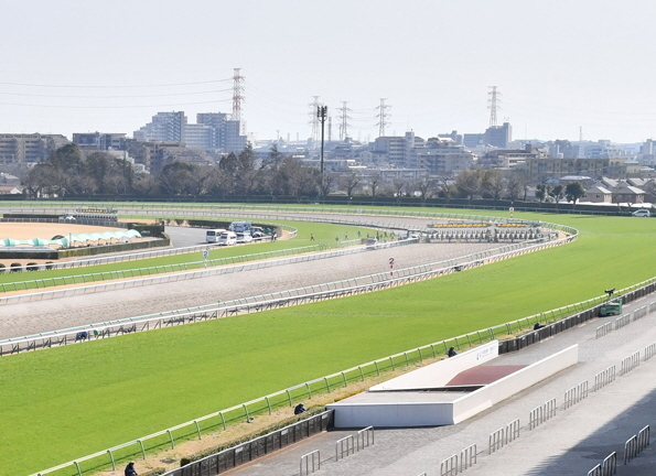 　中山競馬場