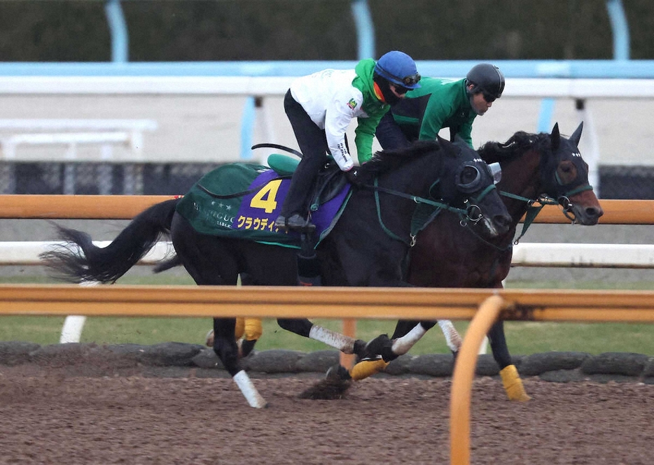 西村淳也を背にCウッドをダノンアトラス（右）と併せ馬で追い切るクラウディアイ