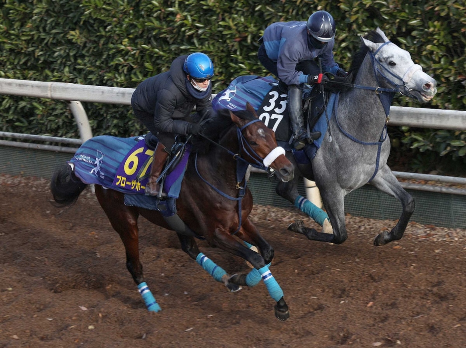 ＜有馬記念＞菅原明騎手を背に坂路にて併せ馬で追い切るブローザホーン（手前）（撮影・亀井　直樹）