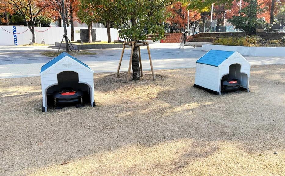 東遊園地の「芝生ひろば」に設置されている芝刈りロボット。犬小屋に見立てた待機所が通行人から注目を集める＝中央区加納町６