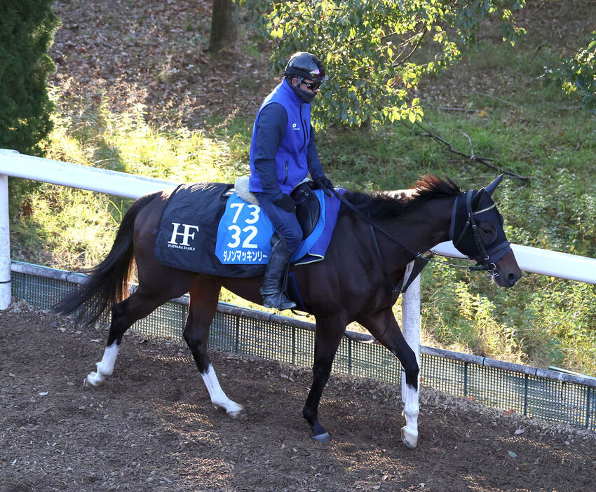 馬トク激走馬に算出されたダノンマッキンリー