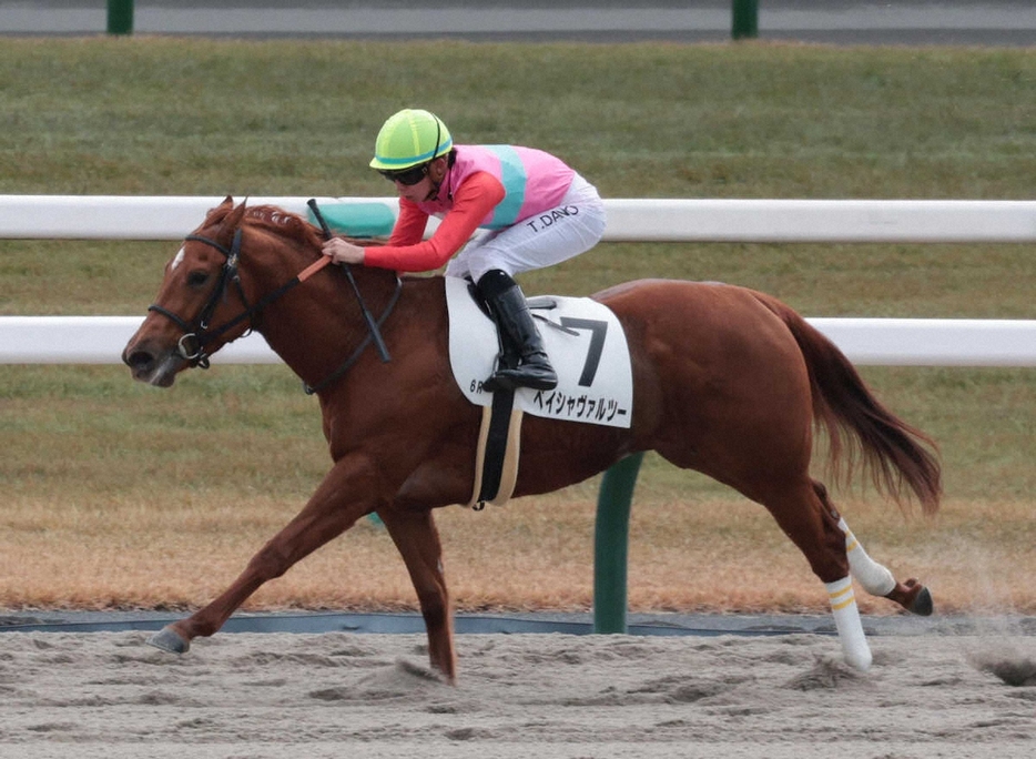 ＜京都6R＞デビュー勝ちを飾った4番人気のペイシャヴァルツー（撮影・坂田　高浩）