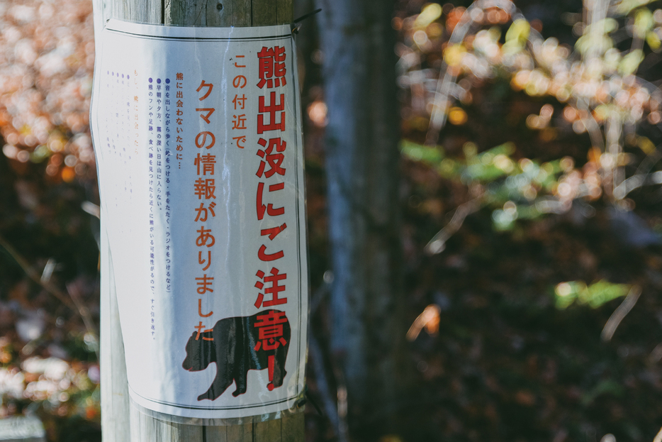 集落はクマの目に「人里」と映るか、それとも〝果樹園〟か？（RAMUSTAGRAM/GETTYIMAGES）