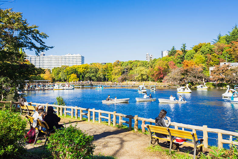 井の頭恩賜公園（写真／PIXTA）